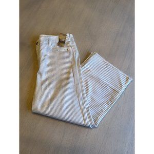 J.Jill High Rise Full Leg Cropped Blue White Striped Denim Jeans Size 12P NWT